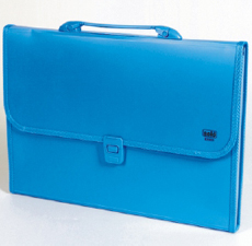 EXPANDING FILE (LOCK & HANDLE)